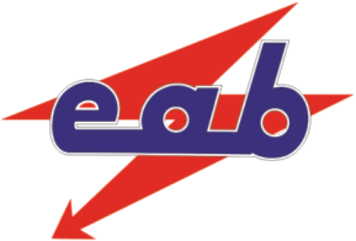 Elektro-Anlagenbau Zschopau GmbH Logo