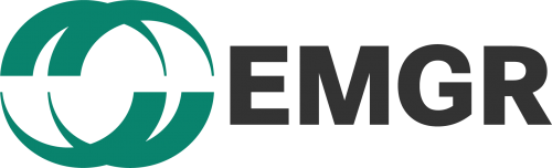 Elektromotorenwerk Grünhain GmbH Logo